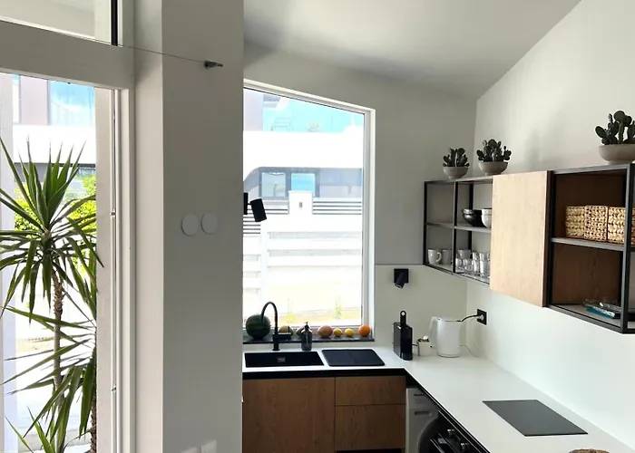 别墅 Slow Living House 洛泽内茨