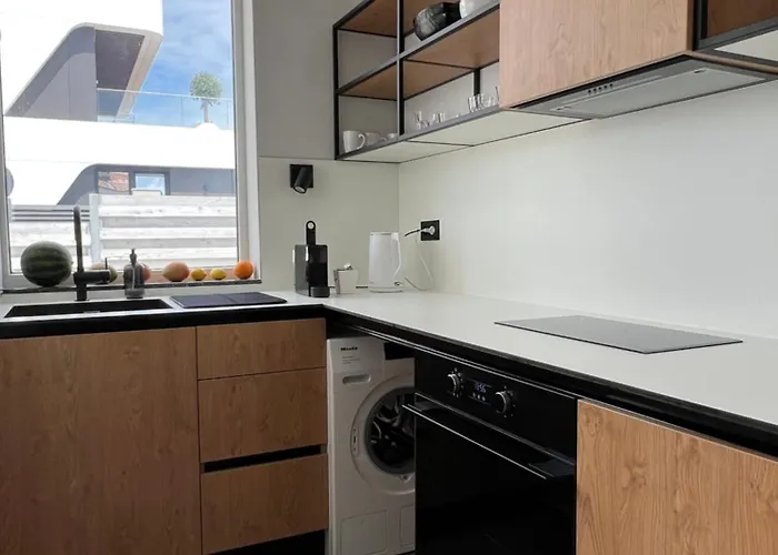 别墅 Slow Living House 洛泽内茨