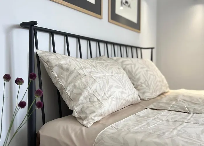 别墅 Slow Living House 洛泽内茨